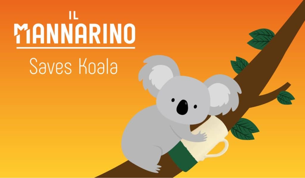 il mannarino salva koala