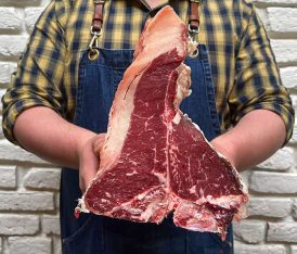 frisona spagnola_fiorentina_in mano