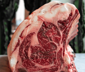 costata prussian black